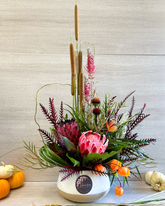 Fall Oasis