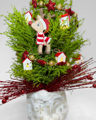 Rudolph's Adventure