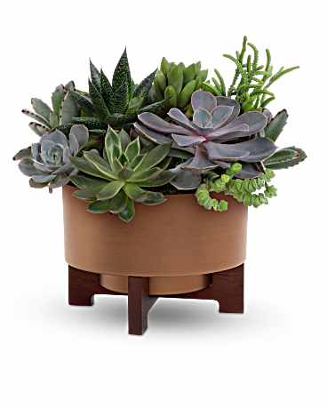 Harvest Succulent Garden