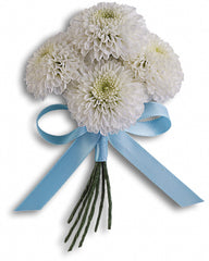 Standard